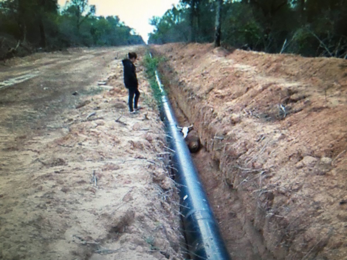 Barken's tweet photo. Abandono de las obras del Gasoducto del Noreste; animales que mueren atrapados en las fosas, campesinos muy tristes. https://t.co/9JRZSNZ46Y