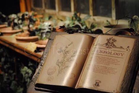 sprout_miss's tweet photo. @ first years of hogwarts: make sure to have your herbology books with you! https://t.co/FmeZ2uoMEt