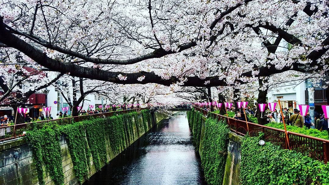 SurfDevltd's tweet image. SurfDev Ltd.. Latest dispatch from Our Engineer in the East. AKA Joe.  bit.ly/1Aak8iC