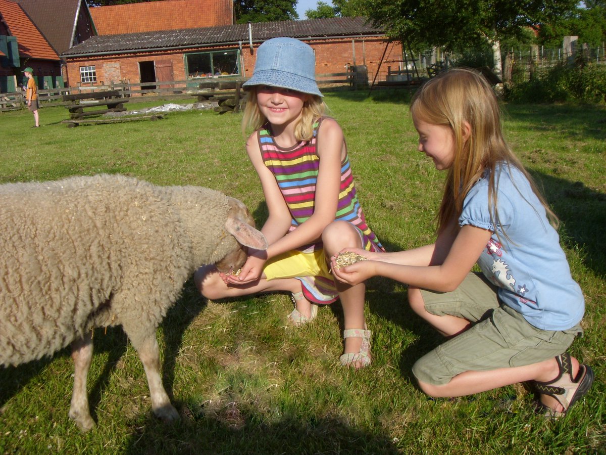 DieAnimalFarm's tweet photo. Mit großer Freude werden unsere #Tiere von den Kindern gefüttert, gestreichelt und umsorgt. https://t.co/6n5Lk1OjJJ