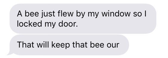 Bee safety tip #338: Keep your doors and windows locked so they can't get in #beeawareness #buzzbuzz #🐝