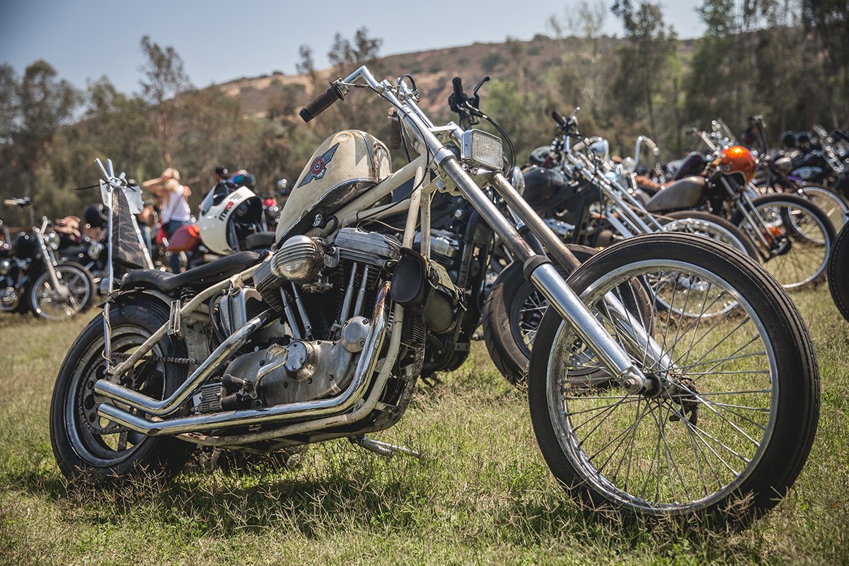 LowbrowCustoms's tweet photo. Midwest at it's finest in Cali. Cody Potter #sportster #xlfever #choppers #bornfree8 #harley #lwbrw #midwest #tbt https://t.co/PwIC8hIEg1