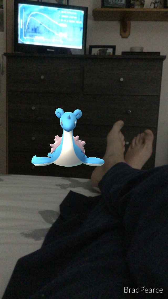 KGIPearceYT's tweet photo. Just A Normal Week Of Pokemon Go. @OMGitsAliA @LachlanYT @UnlistedLeaf @Chaosxsilencer @TeamMysticPGO #PokemonGO https://t.co/zHRvqlRoka
