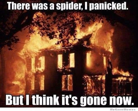 DesertWeb_Ext's tweet image. Before a disaster occurs, better give us a call! #PestControlServices