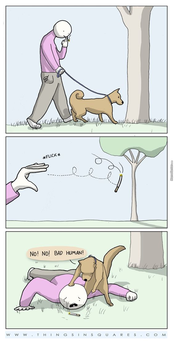 flickyoucmpgn's tweet photo. While at the dog #park, don't give your #dog a shot to turn the tables. #FLICKYOU #FLICKRESPONSIBLY #ThursdayFunday https://t.co/I9KQltcowf