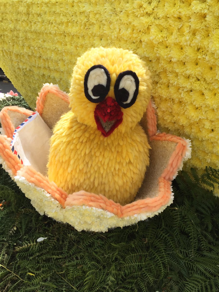 Kitty_Day's tweet photo. Had a great time as a chicken on Trinity's float! Looking forward to tomorrow's moonlight parade #Battle2016 https://t.co/WGy2Uz8S3x