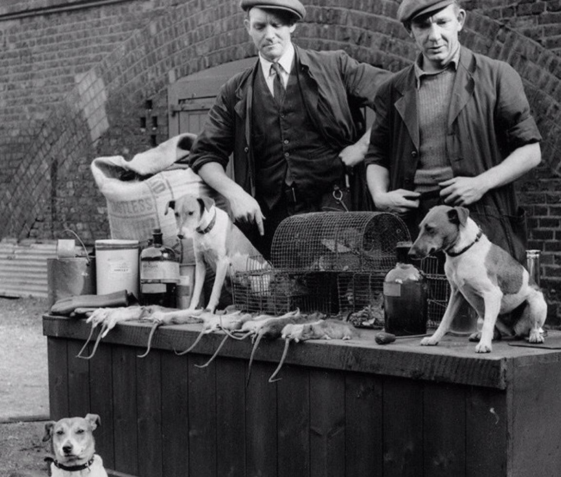 уличный чистильщик обуви. шарманщик петербург 19 век. немецкий трубочист. шарманщик 19 век. чистильщики сапог россия 19 век.