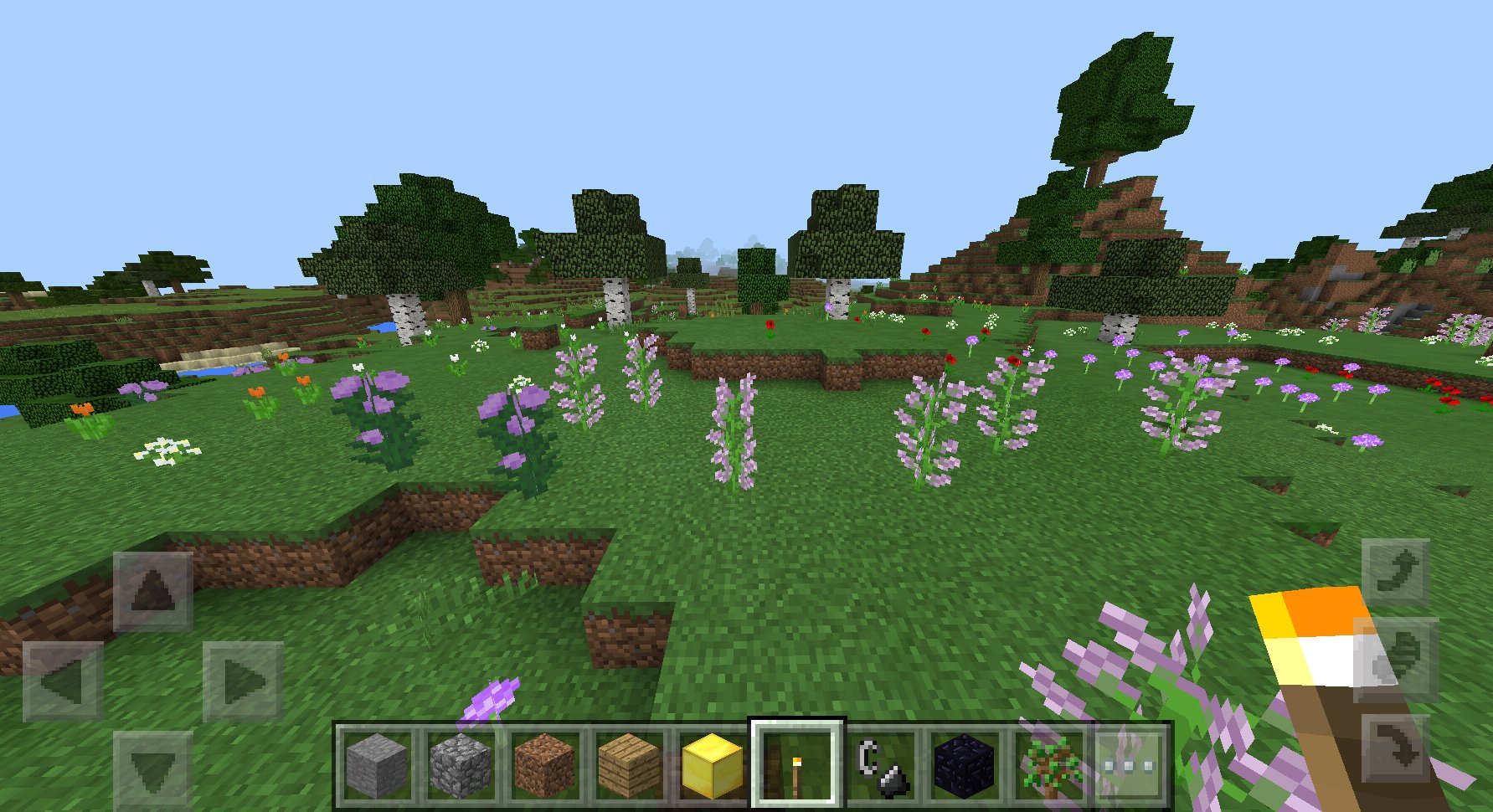 マイクラpe Seed値メモ マイクラpe Seed値メモ ギリギリメサの見える位置にスポーン 周囲は湿地 森と資源は豊富 メサへの道すがらに綺麗な花畑あり Minecraftpe T Co Ahhyh8zgrh Twitter