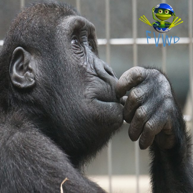 WebDesignFV's tweet image. Helping Web Professionals Help You!  An article for everyone on the web!   bit.ly/2aOFd1U