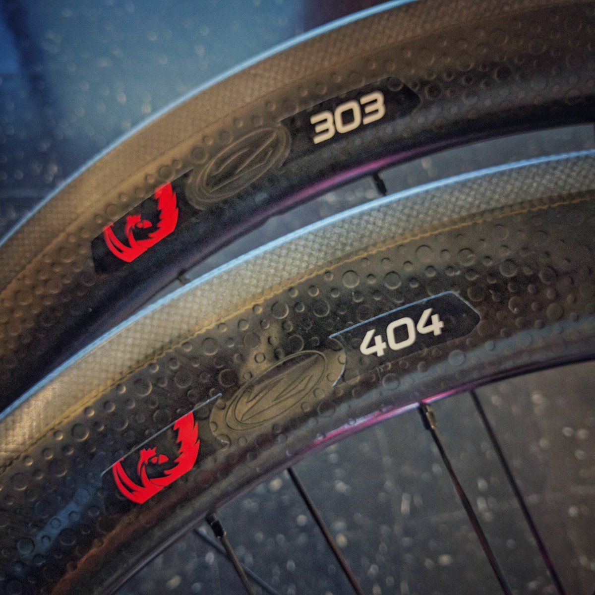 QualityBike's tweet photo. A pair of custom made @OnyxRacing hubs on @ZippSpeed rims by Quality Wheels. #qualitywheels https://t.co/n0E5VirsXG
