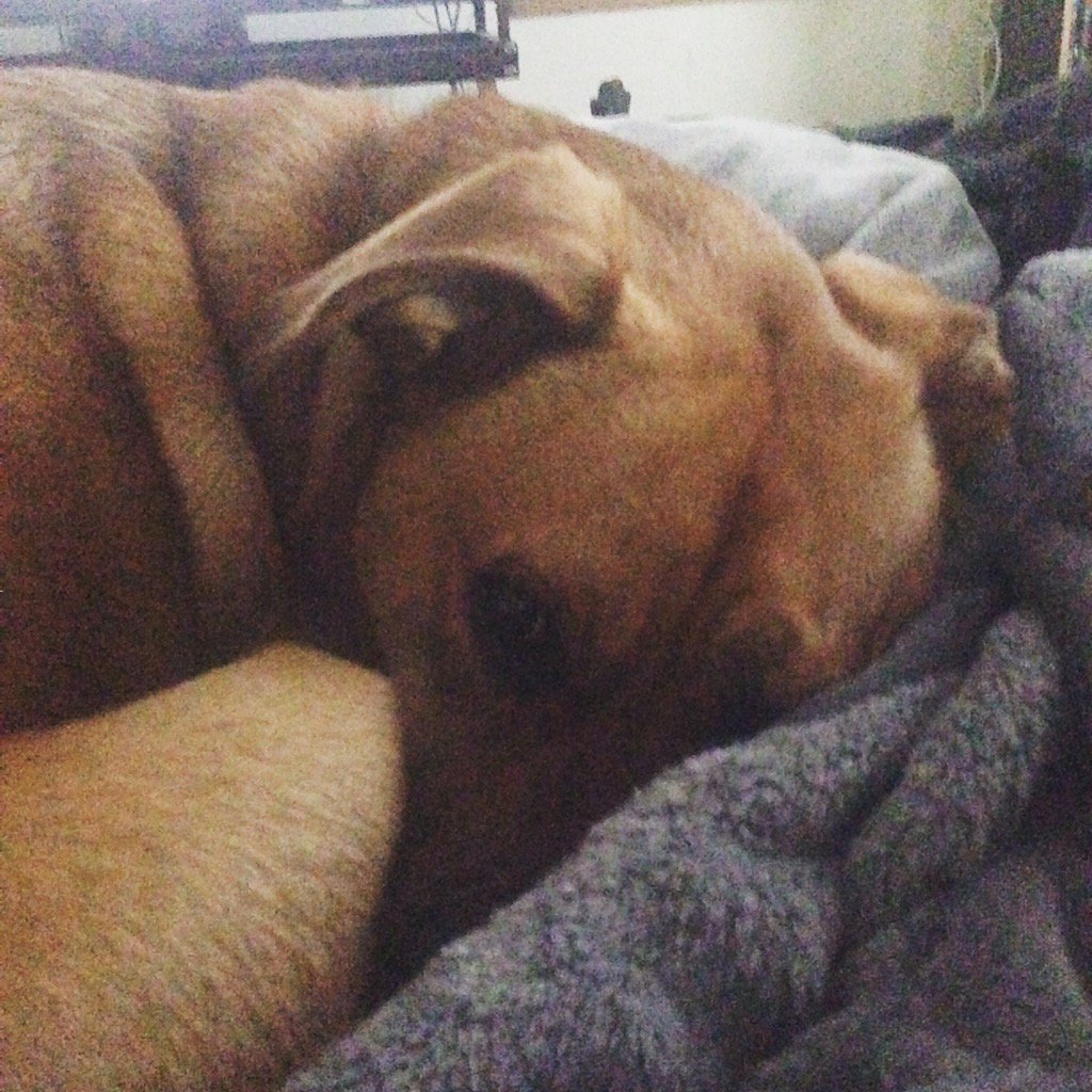 Still sick. One devoted "nurse."