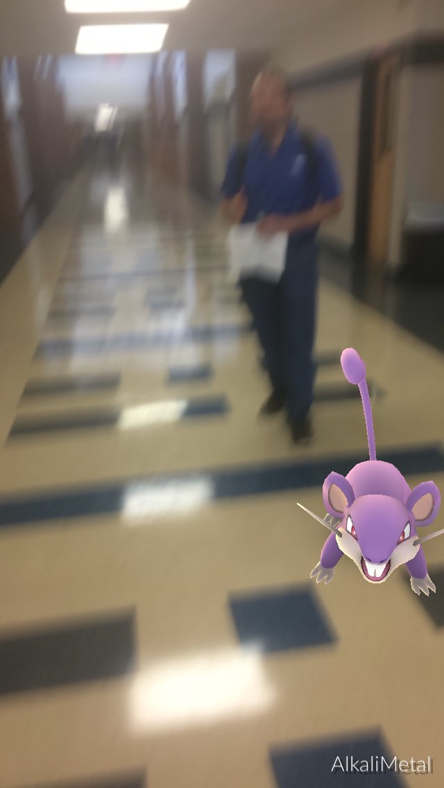ProfHibbetts's tweet photo. #whspokemongo #teamMankey https://t.co/VK1wagwQiM