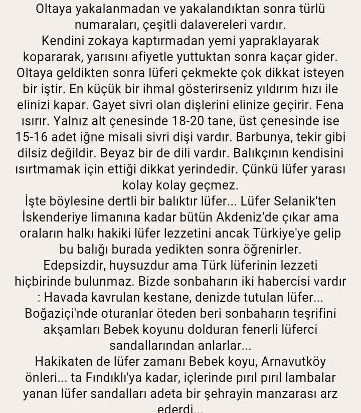 IstanLOOK's tweet photo. "Lüfer, yemi yapraklayarak kopararak, yarısını afiyetle yuttuktan sonra kaçar gider." #lueferkorumatimi https://t.co/brCSh101r5