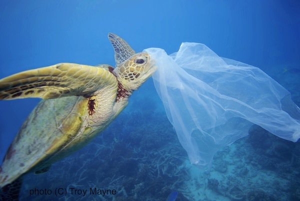 Plastic bag bans are going global!! Here is the story from Ethiopia to LA --> snip.ly/qi22d