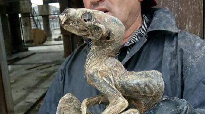 ?????????? ??????????? ? ????????