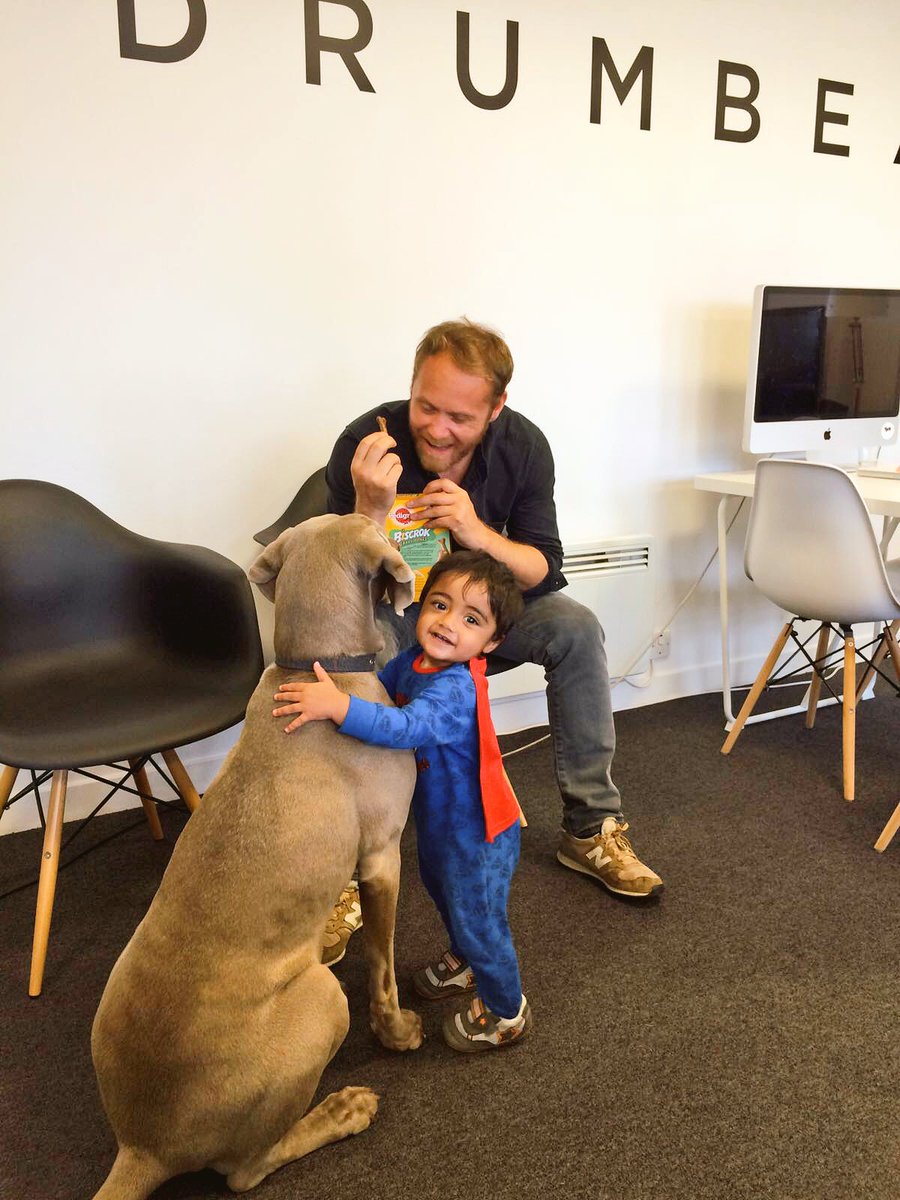 AlfieStudioDog's tweet photo. Superman came in to see me for a cuddle today. I was happy to oblige. https://t.co/hfyZifovkC