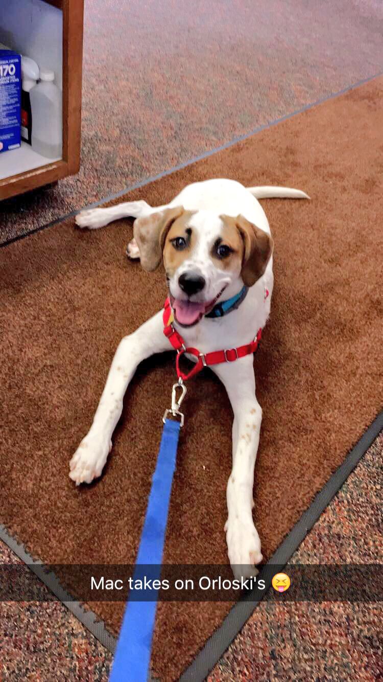 Orloski's Car Wash (Orloski_Wash) / Twitter