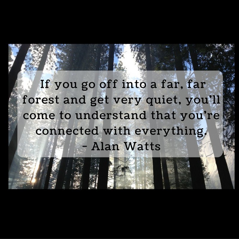 FloatNorfolk's tweet image. Wisdom from the great Alan Watts #reconnect #floatation #FloatNorfolk