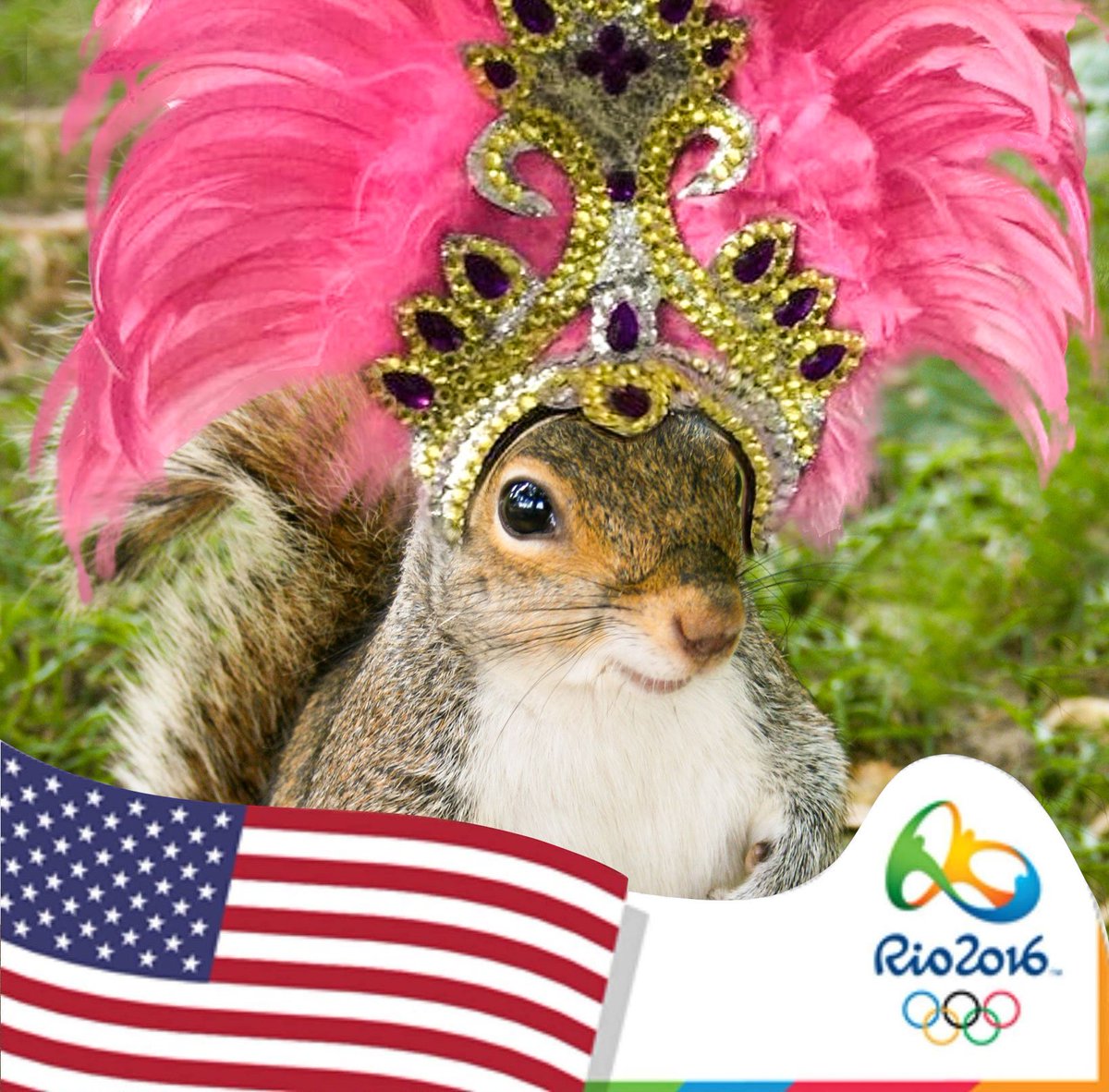 wmsquirrel's tweet photo. Rio is a long way from @williamandmary but I made it. Tonite, #FinalFive &amp; #PhelpsPhan! #Samba-on #Tribe #WM2020 https://t.co/1n3TQhKIMX