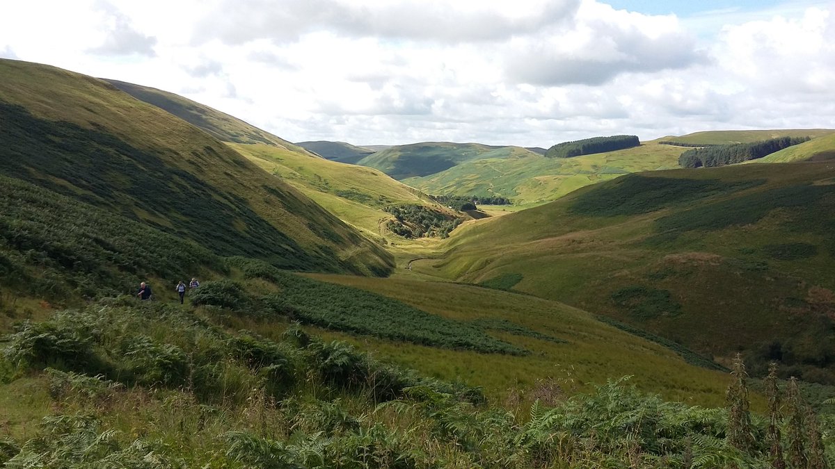 helen_stoddart's tweet photo. Hiking the scenic border trail between England &amp; Scotland at #barrowburn # Northumberland @VisitNland https://t.co/FINDDyIr82