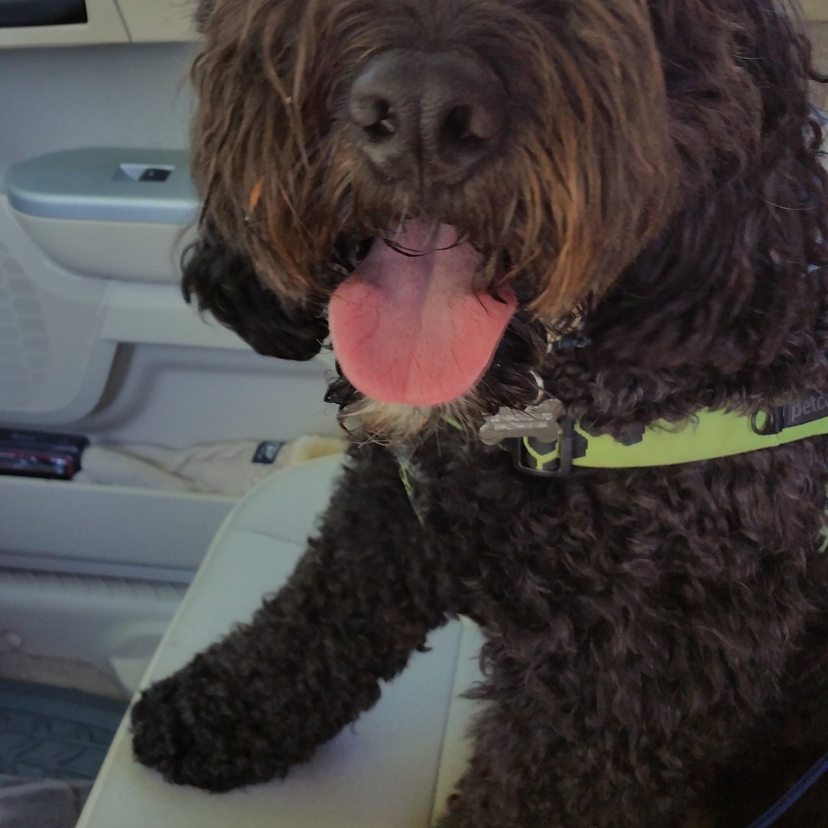 elizabeth desmarais tweet media