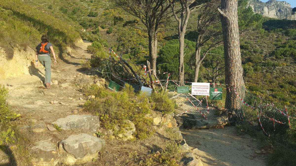 New path opened on Pipe Track above washed away section.Well done <a href="/TableMountainNP/">SANParks TMNP</a>! #capetown #hiking #tablemountain