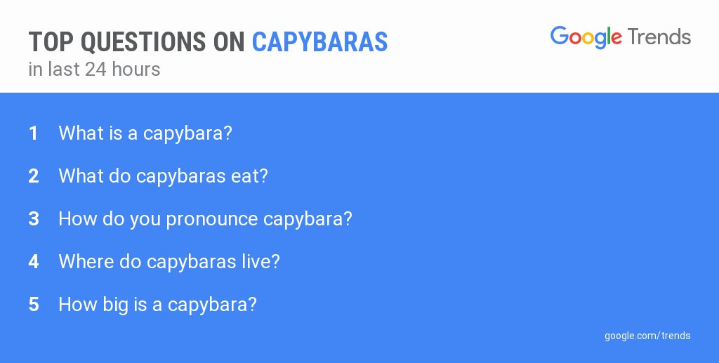 GoogleTrends tweet picture