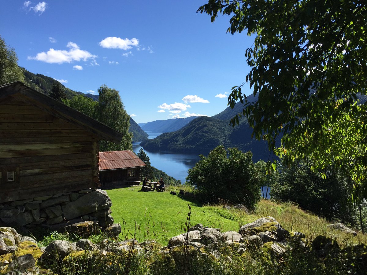 VisitDalen tweet media