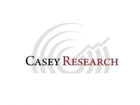 The Daily Coin tweet media