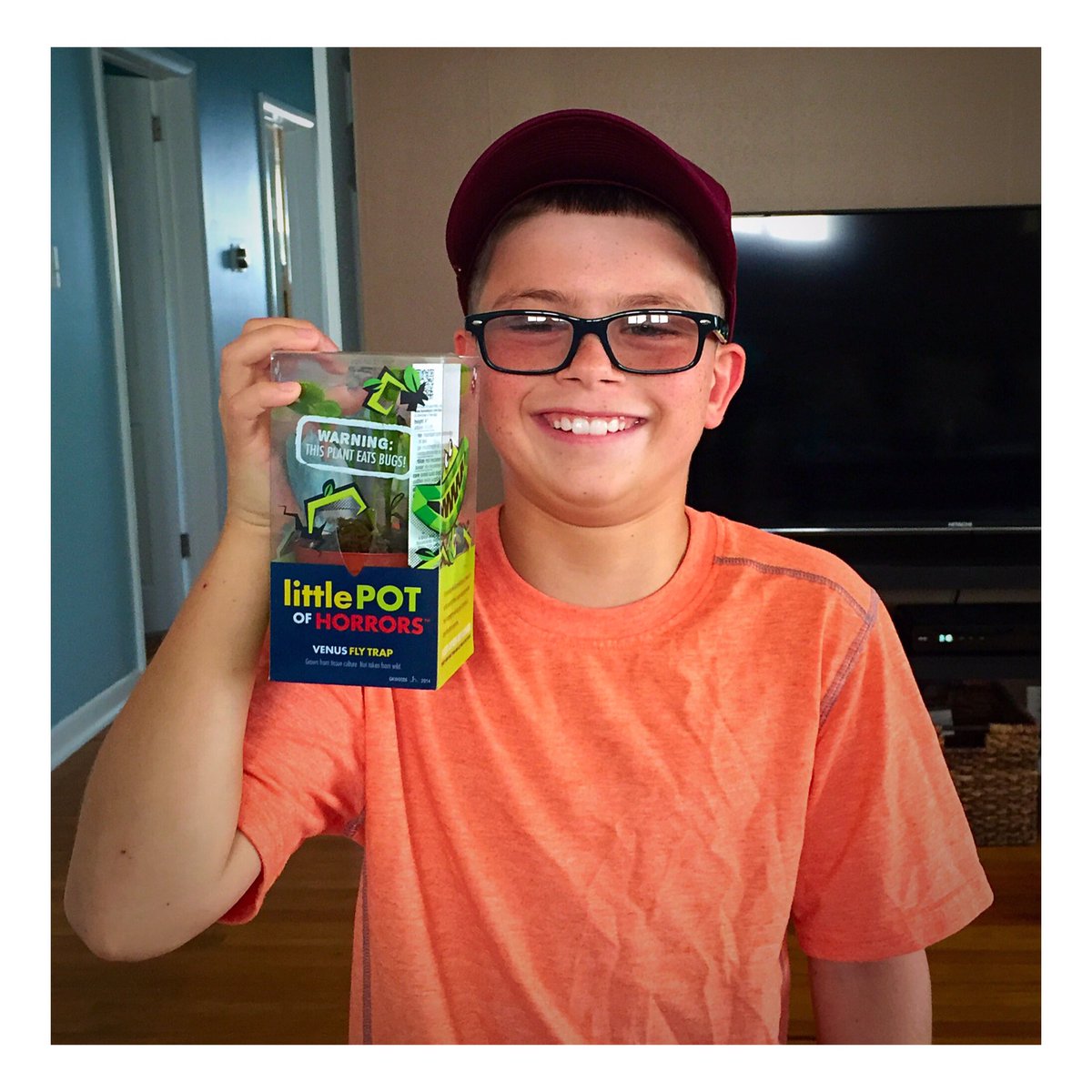 petersmelissa13's tweet photo. He loves his Venus fly trap #feedmeseymour #hd4101 🌿 https://t.co/voNqhUGJ35