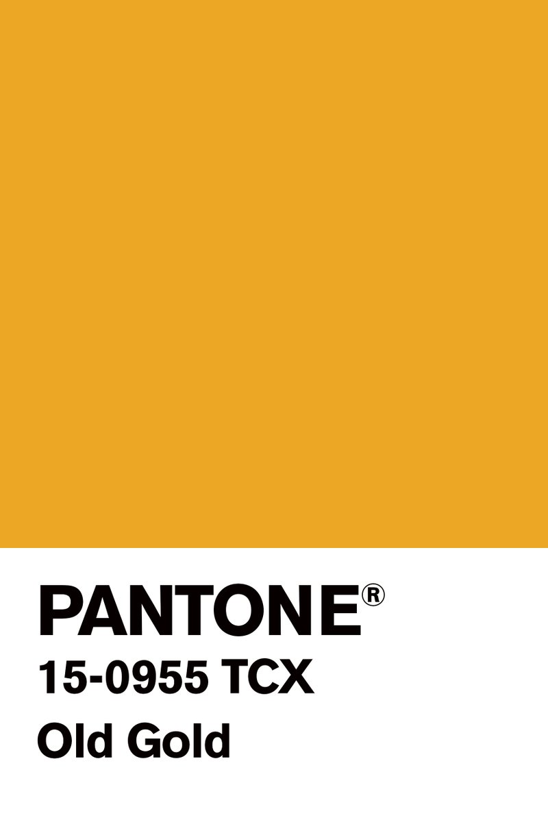 hnnh_lee's tweet photo. My #ColorOfTheDay #August11th @pantone #OldGold...
#Gold for #ESP #Euskadi #CanoeKayak @MChourraut 
#ColorInspiresMe https://t.co/HmFDJWEPOa