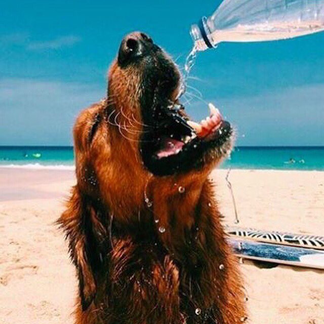 IndustriaAZ's tweet photo. Remember to stay hydrated today friends. It's going to be a hot one. 🔑 #majorkey #summer16 https://t.co/Ej9irZ4DOV