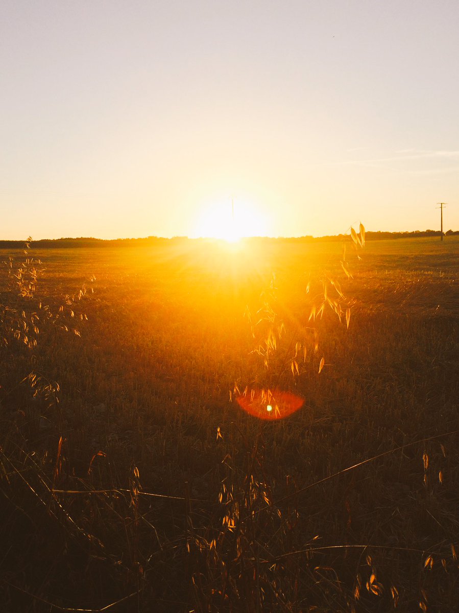 ElementsDevon's tweet image. Limited number of evening Massage appointments available during the summer holidays #Exeter #Massage @MumsnetExeter