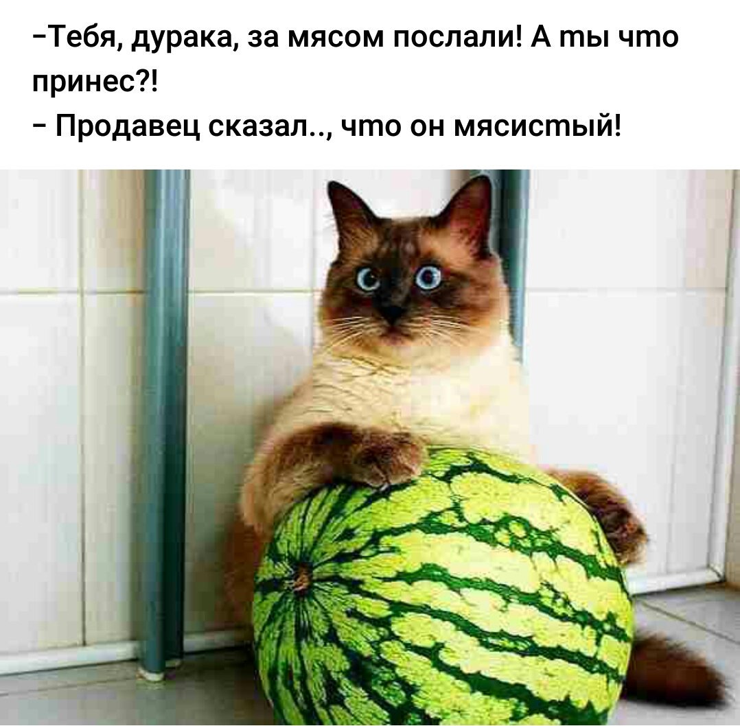 Россия будет давить "санкционную" еду до 2018 года - Цензор.НЕТ 6095