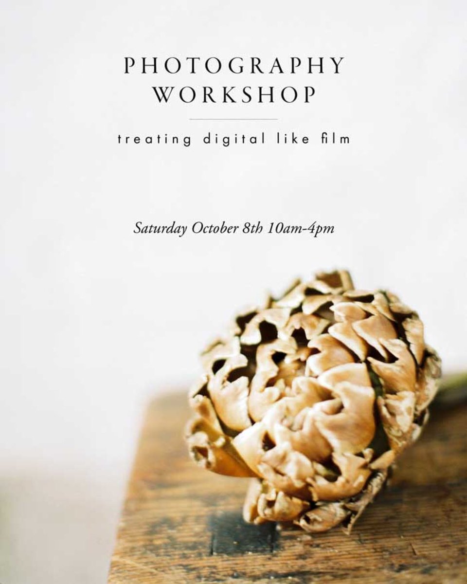chikae_oh's tweet photo. #PhotographyWorkshop for #fineartphotography and #visualstorytelling  https://t.co/DwuKbChKT4 https://t.co/dkx3M3q1Zp