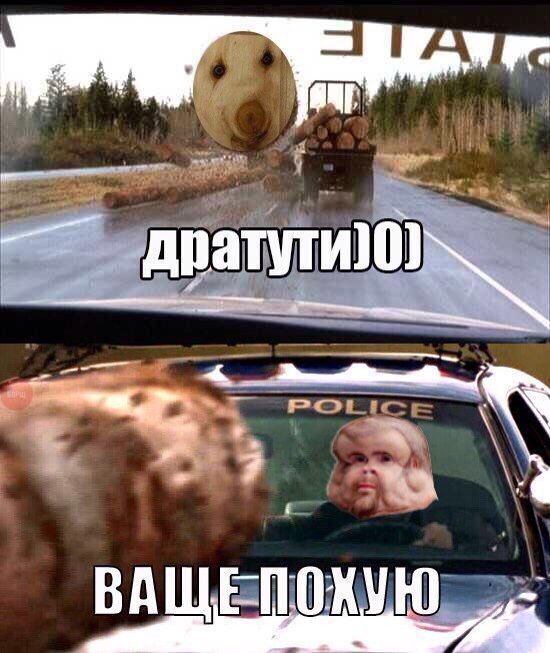 Картинки прикольные дратути