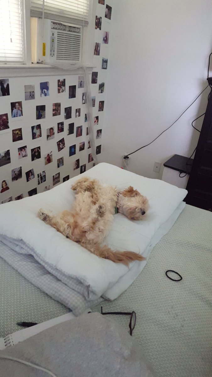 MupheyC's tweet photo. Nap time. https://t.co/DCS6fWdWv0