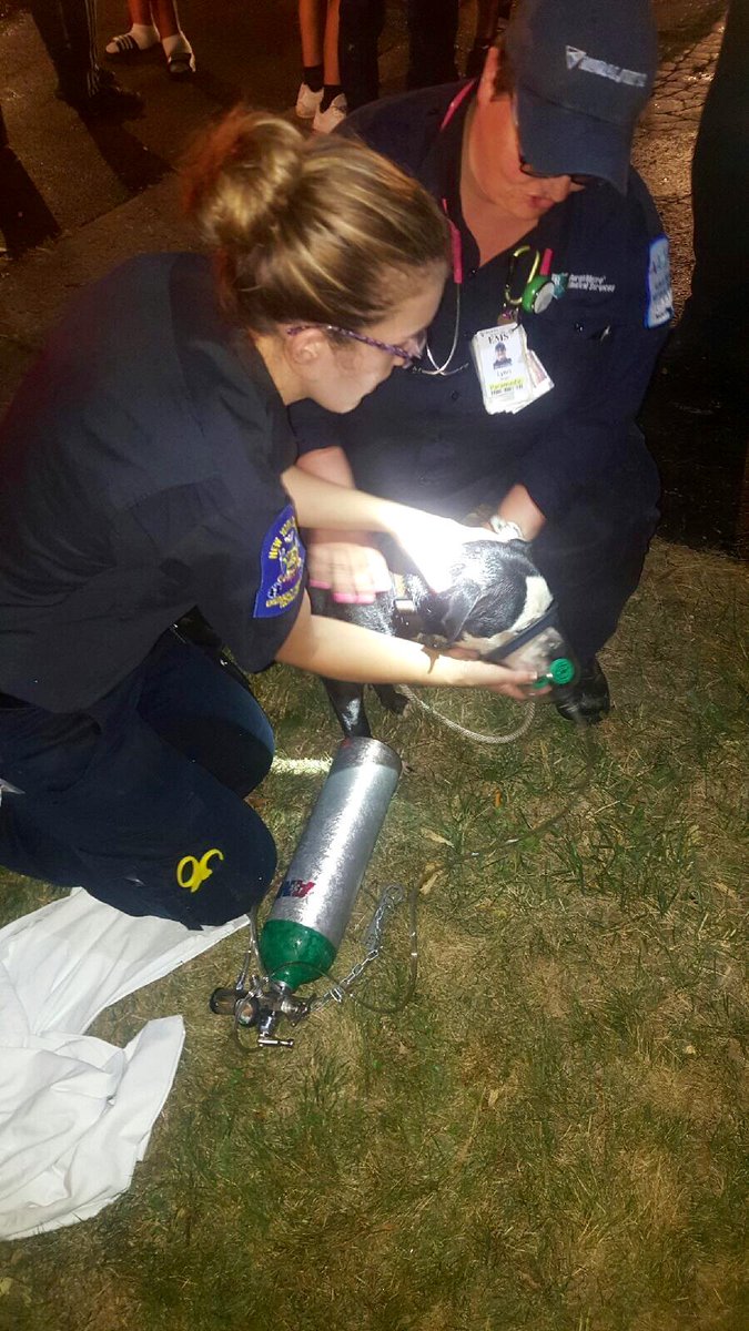 AMRROCNY's tweet photo. AMR crew delivers 02 with pet mask donated by Project Breath of Upstate NY. A house fire on Somerset Street. https://t.co/yD5Dc8yfTR