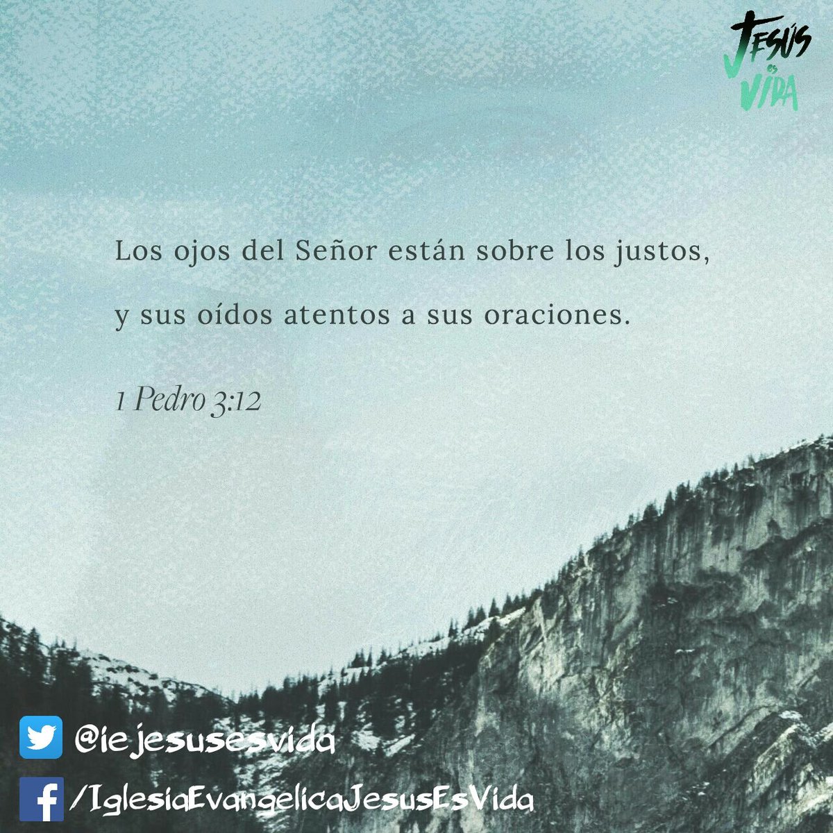 IEJESUSESVIDA tweet media