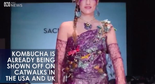 MsSilverLinings's tweet image. Making Vegan Leather from Kombucha Tea bit.ly/2aPcRS9 #SustainableFashion #Innovation