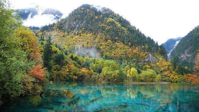 Mipaisajex_'s tweet photo. Valle de Jiuzhaugou, China https://t.co/o4CwQwmdIn