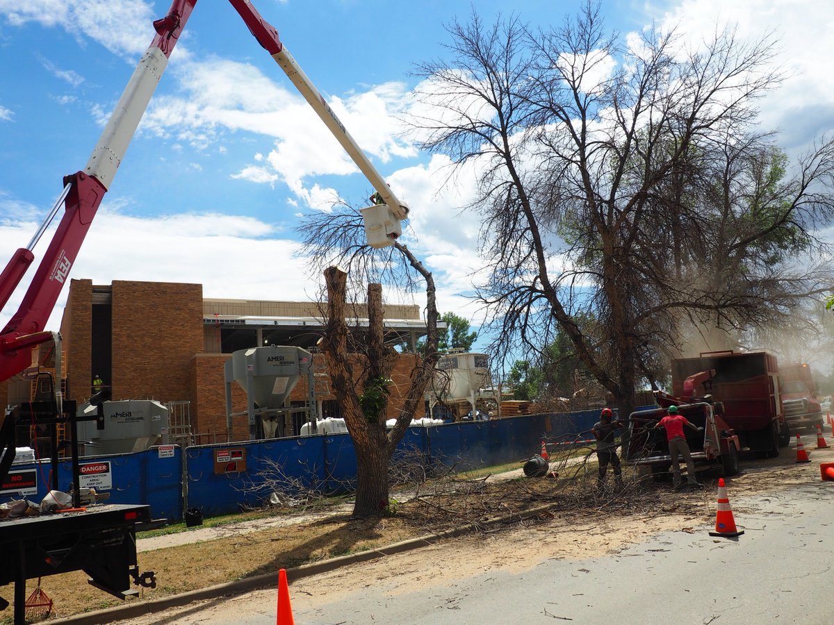 BeASmartAsh's tweet photo. Oct. 2013: This row of @CUBoulder ash trees was lush. 3 years post-#EAB: They're gone. #BeASmartAsh. Treat your ash. https://t.co/dZU7igDLY9