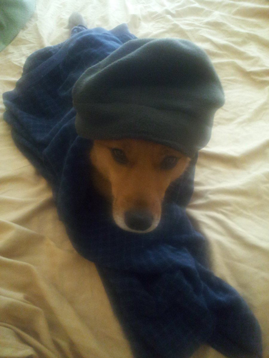 Robert Natowitz tweet media