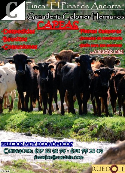 igrtoros tweet picture
