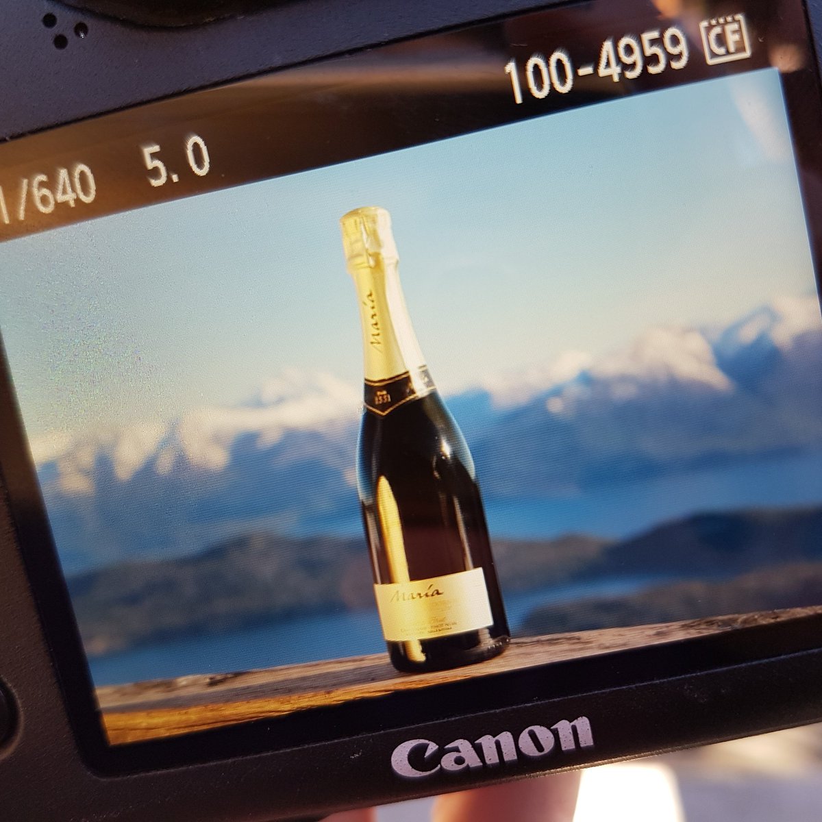 BODEGA SEPTIMA tweet media