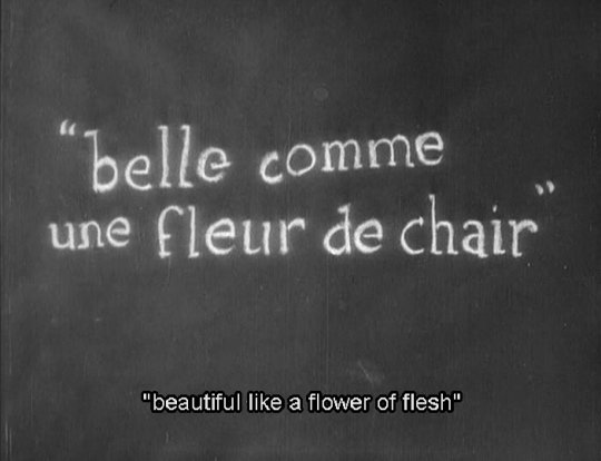 Nuitdeciel_Nwt's tweet photo. L'Étoile de Mer, 1928, Man Ray

#ManRay #letoiledemer #Thestarfish https://t.co/WakuMg5r6I