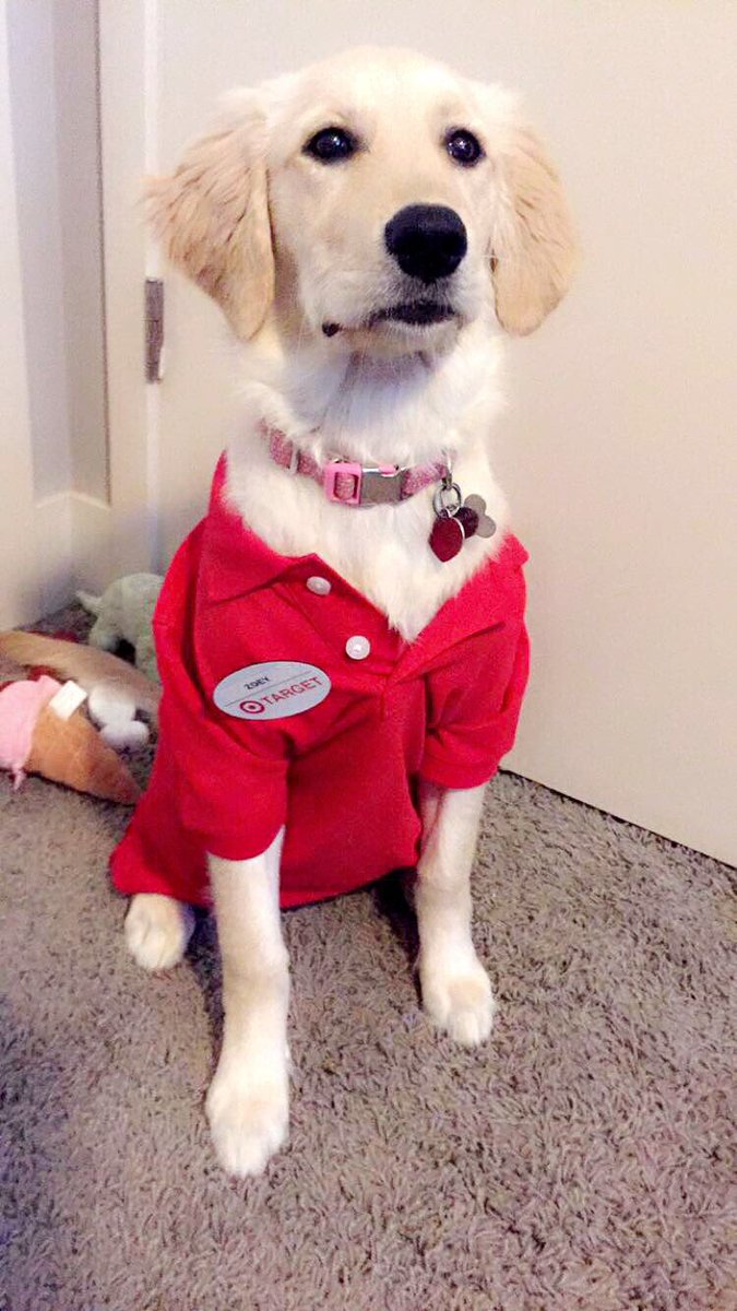 kelseystatenTGT's tweet image. Target's newest team member! Zoey loves Target!