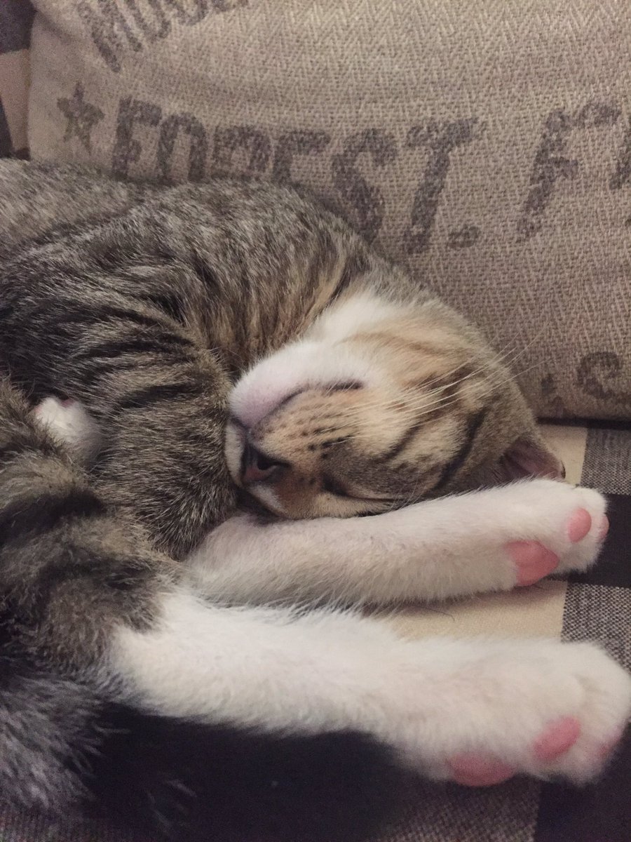 SeStevens101's tweet photo. Why you upside down? https://t.co/0jCuUQ8dKQ