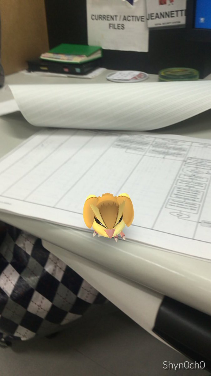iseeonlyright's tweet photo. may ibong dumapo sa table ko #PokemonGoLocationPH https://t.co/lxAJG5aUN9