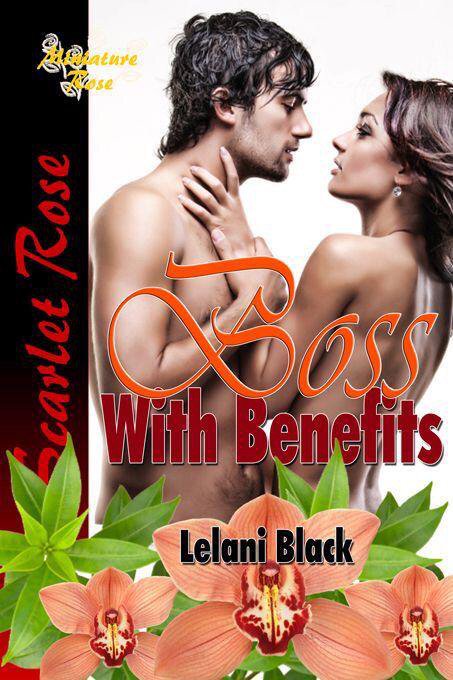 You're not the boss of me #Hawaii bachelor falls for 2 sisters in this sexy office comedy  amazon.com/dp/B003980WPI/…